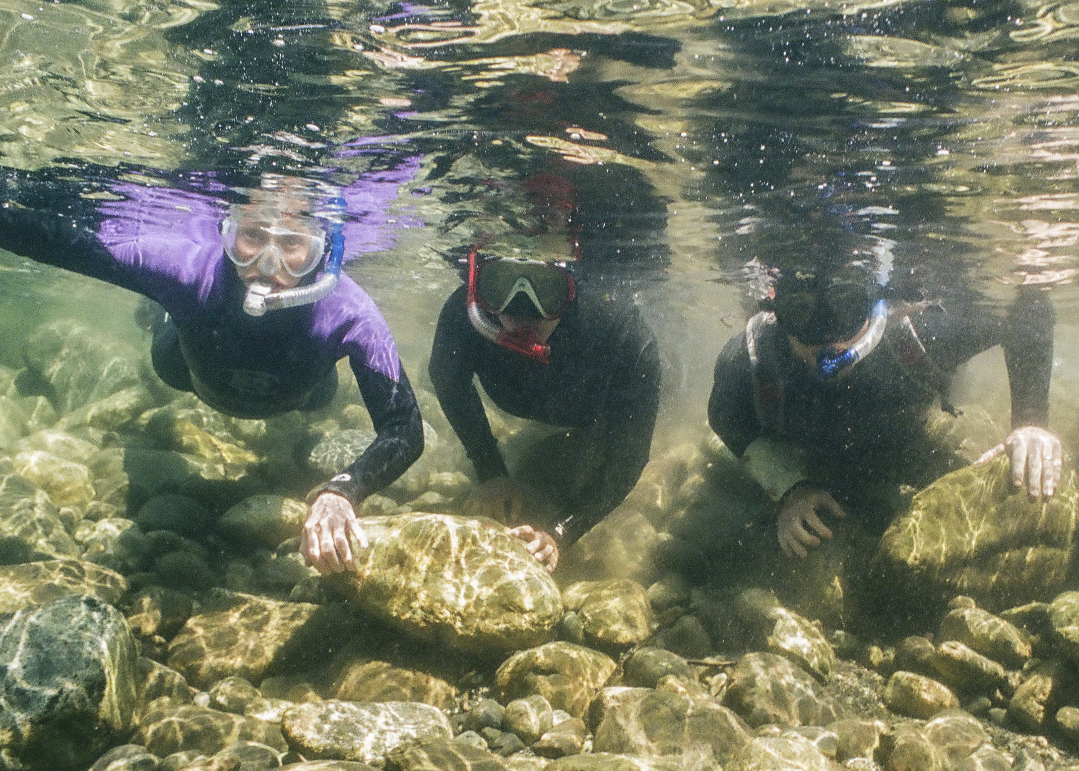 Fans and supporters in Gold Beach Oregon welcome and appreciate Senator Wyden and Congresswoman Hoyle on July 29 for their work to protect the rivers of America’s Wild Rivers Coast.