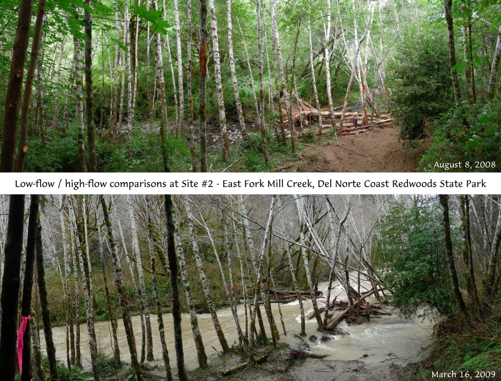 Mill Creek Instream Restoration Thomas B. Dunklin