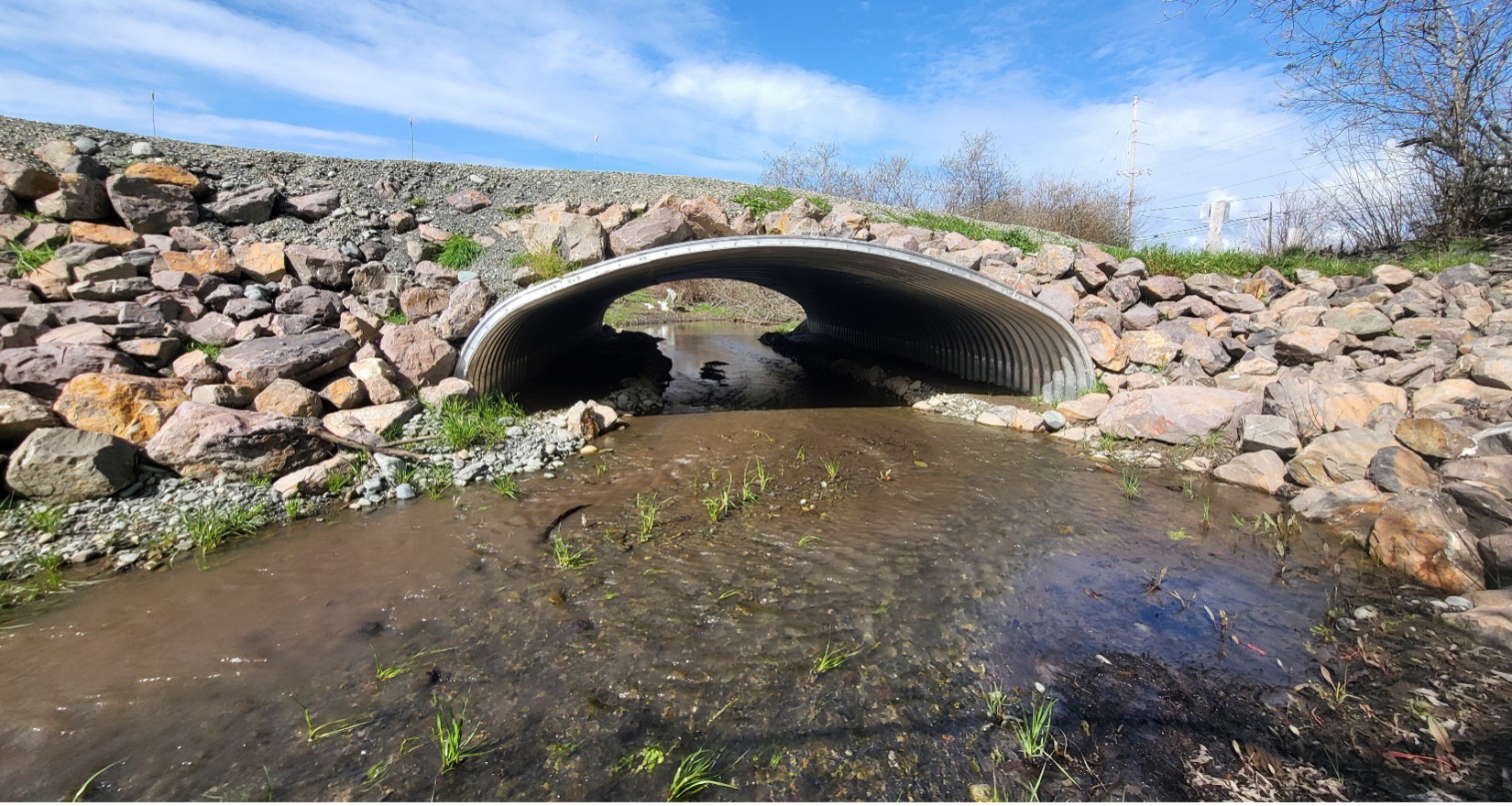 culvert If you build it, they will come- upgraded stream crossings like this one help salmonids return to previously inaccessible habitat (Photo- Priscilla Winters)